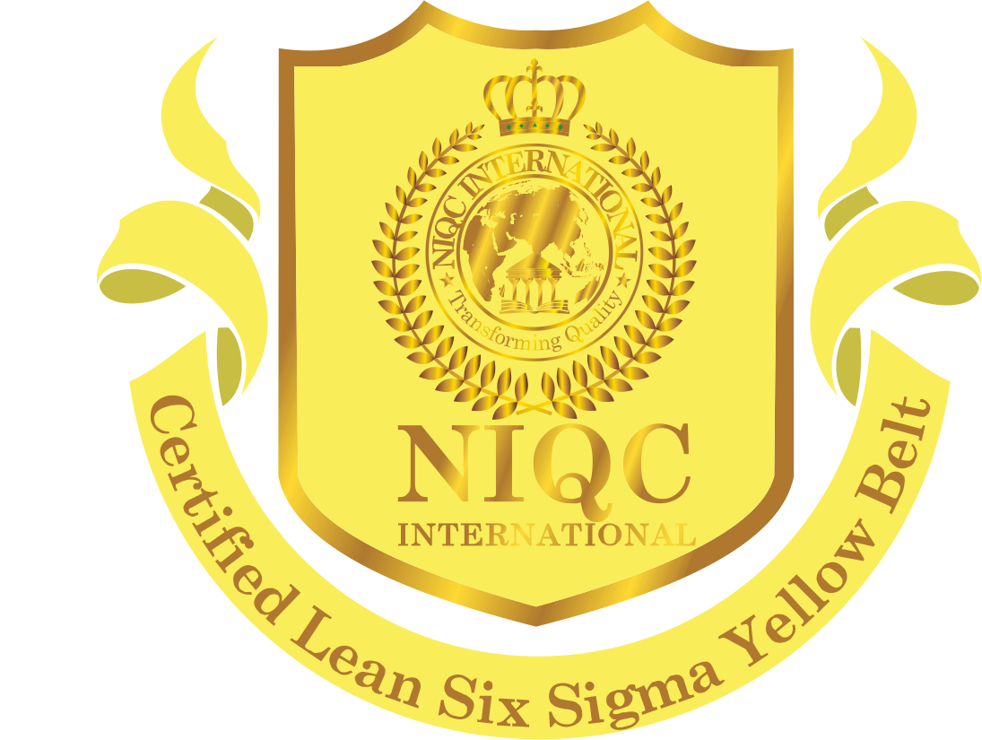 What is Six Sigma Yellow Belt? - NIQC International, Bangalore